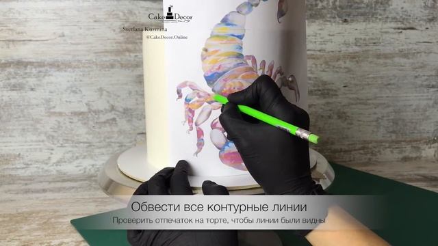 РОСПИСЬ ТОРТА  "Скорпион" с 3D элементами (в 4-х частях). Часть 1. Перенос контуров рисунка на торт