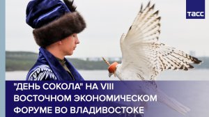"День сокола" в первый день VIII Восточного экономического форума во Владивостоке