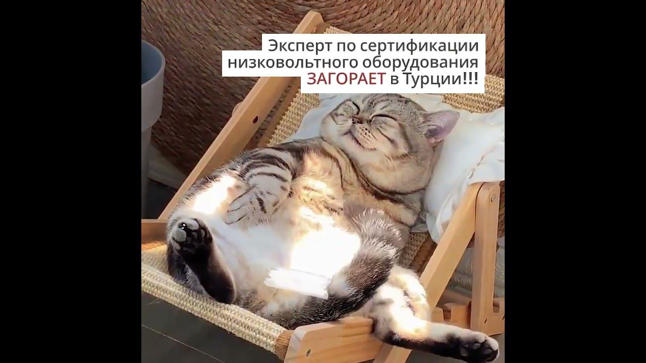 Эксперт по сертификации низковольтного оборудования ЗАГОРАЕТ в Турции!!!