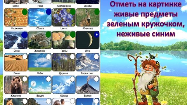 Интерактивная игра "Наш дом - Земля" смотреть онлайн