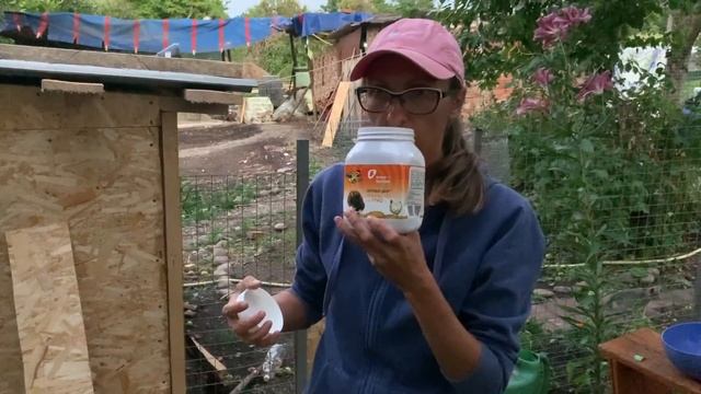 #7 ДОМ В ДЕРЕВНЕ / Достроили дом для птиц. Угощаем уток арбузом и дыней. смотреть онлайн