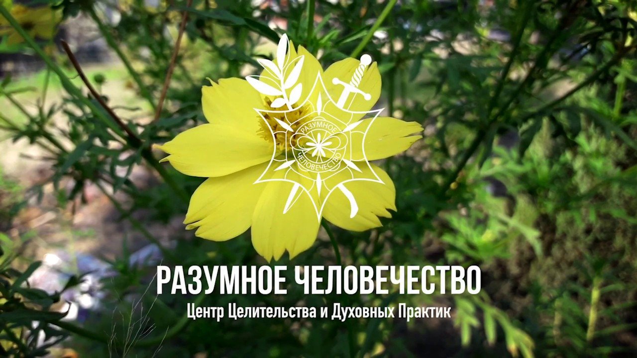 Страх Смерти Близких