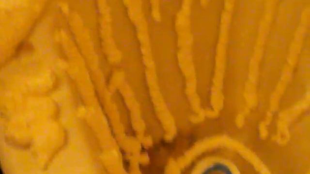 Этапы установки акриловой вставки в ванну смотреть онлайн