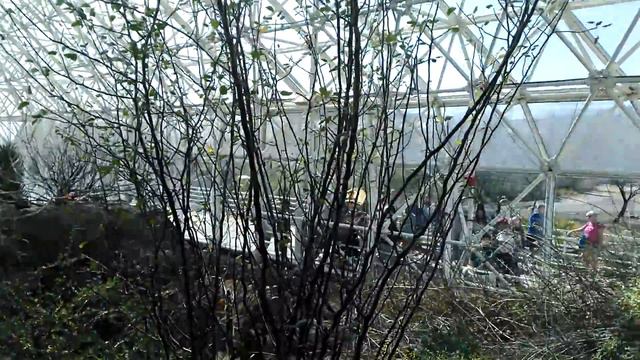 Биосфера 2 из нутри смотреть онлайн