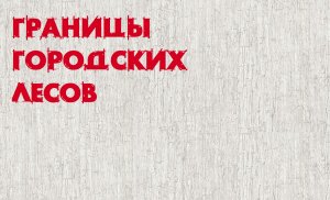 Границы городских лесов.mp4