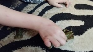 Рачьи бега. Лида  МармеЛида