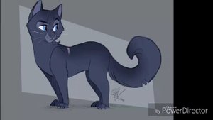Коты воители песня Синей звезды
