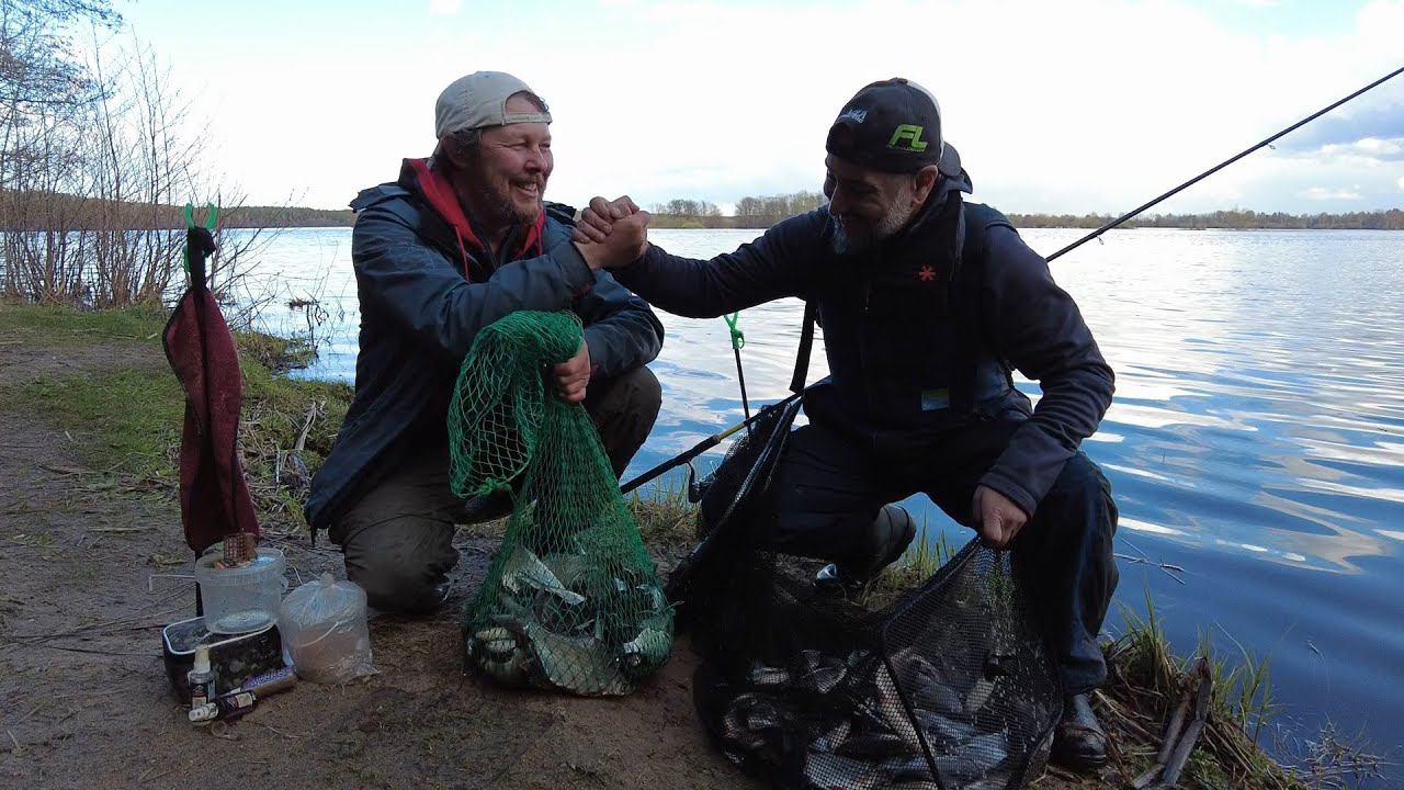 Ловля весенней густеры на фидер. Волга. смотреть онлайн