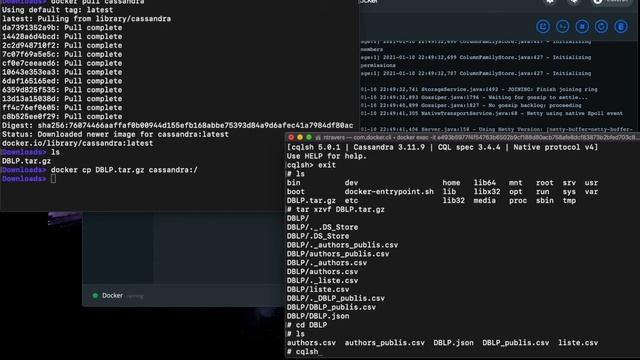 Create Cassandra database in Docker смотреть онлайн