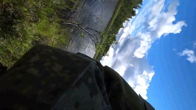 Мурманск, природа , много грибов, поход на рыбалку!!!! смотреть онлайн