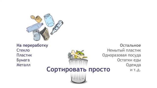 Как правильно беречь планету от мусора