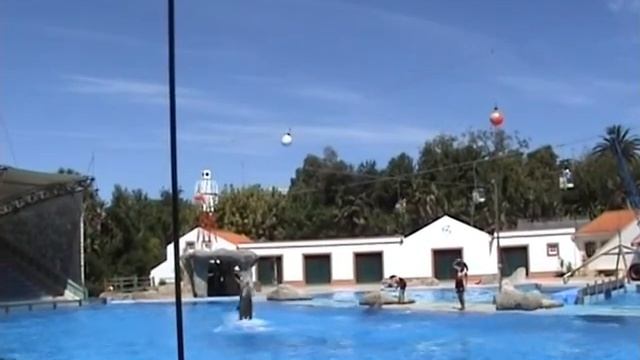 Lisbon Zoo Part 1 смотреть онлайн