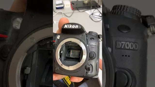 14 сентября 2020 г. смотреть онлайн