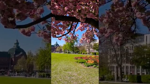 Wiesbaden is a beautiful City. Висбаден - красивый город. Deutschland, Германия.