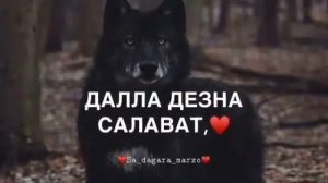 Сулим Ахаршаев