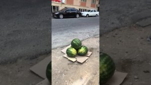 Бизнес на арбузе в Дагестане . Бизнес с нуля и без вложений. Начать бизнес в Дагестане