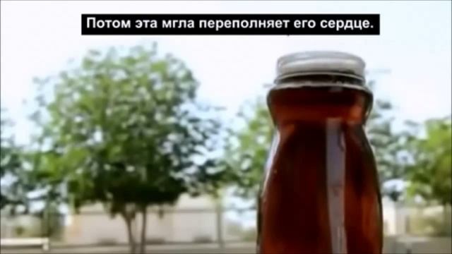 Сердце верующего... смотреть онлайн