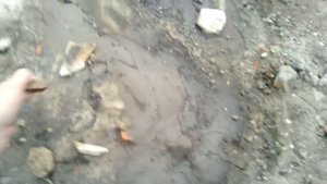 Откопали первые этажи и закопали обратно