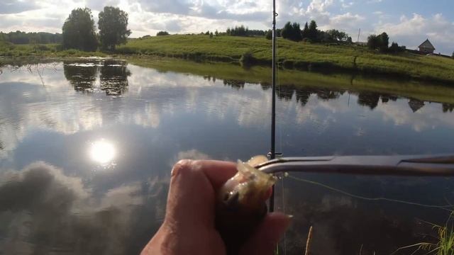 Микроджиг на дачном пруду. Окунь на микруху в жару. смотреть онлайн