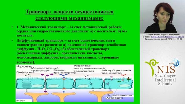 Питание и транспорт веществ Байдильдинова Феруза Файзулаевна смотреть онлайн