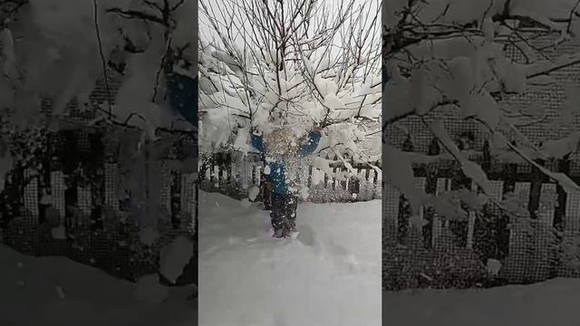 Крым в снегу. Засыпало снегом. Зима, холода... Губин.