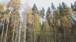 Койда Сплав Кепина Койда 320 км Часть1 Кепина Верхотина