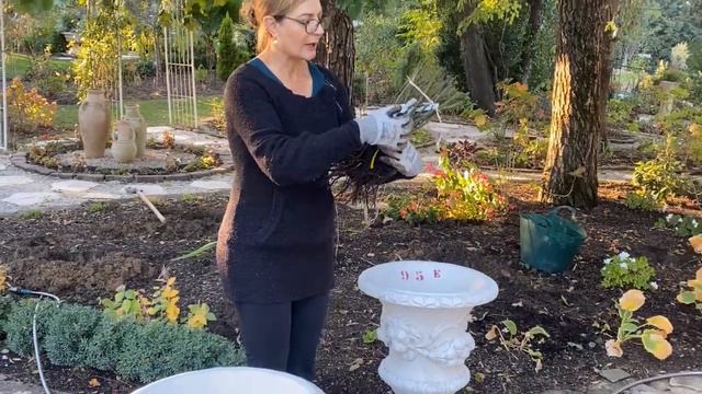 Planting Roses смотреть онлайн