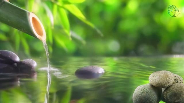 ❤? Relaxing Music 24/7, Sleep Music, Stress Relief Music, Spa, Meditation, Yoga, Zen, Sleeping Musi смотреть онлайн