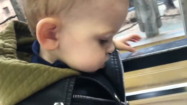 Осень с малышом 1,3 года. Прогулка, зоопарк, игровая. смотреть онлайн