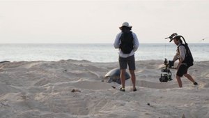 Planet Earth III | Episode 1 First Look: Coasts | BBC Nordic