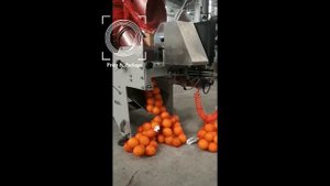 Линия по фасовке овощей фруктов в сетку по 3 5 кг