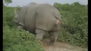 Джим Кери