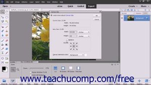 Photoshop Elements 15 Tutorial Changing the Canvas Size Adobe Training