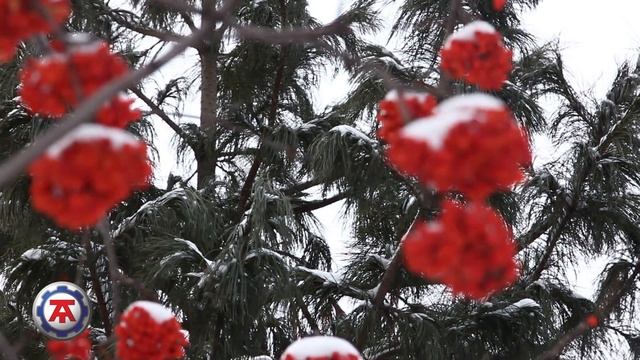 Автотепло - инструкция по применению смотреть онлайн