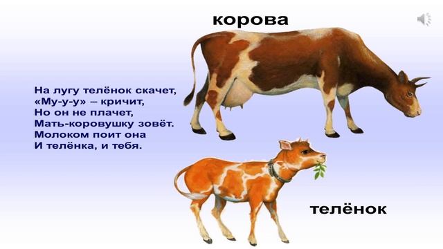 "Домашние животные и их детёныши" смотреть онлайн