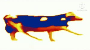 польская корова BASS BOOSTED  польская корова басс буст dancing polish cow meme