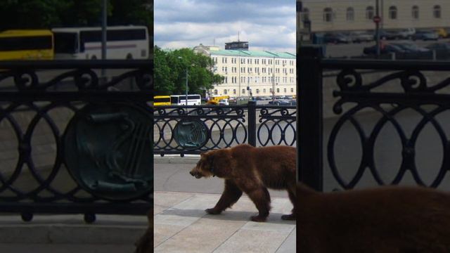 ЧТО ДЕЛАТЬ ЕСЛИ РЯДОМ МЕДВЕДЬ, а чтобы узнать больше подписывайся.