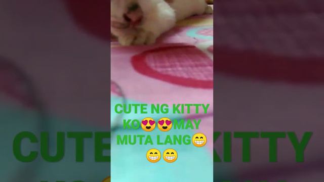 CUTE NG KITTY KO,MAY MUTA LANG😂😂😂