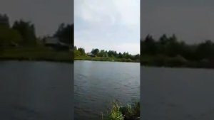 Рыбалка в Пензенской обл., Неверкино, пруд "Сухой-2". +79374094444.