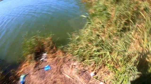 САЗАНЫ ГНУТ Удочки. Жор Сазана. Рыбалка на ПОПЛАВОК смотреть онлайн