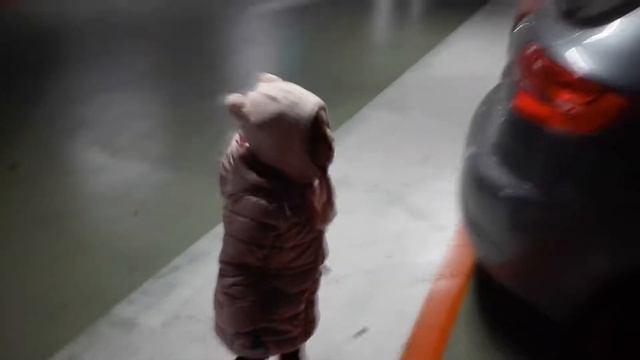 vlog 22...verona...italia... смотреть онлайн