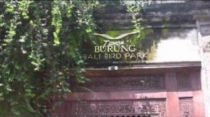 Балийский парк птиц