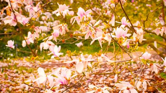 Какие православные праздники в мае месяце: календарь