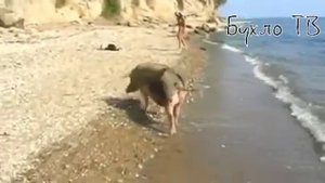 ВЕРКА СЕРДЮЧКА...А Я СТОЮ В ЭТОМ РОЗОВОМ СВИТЕРЕ