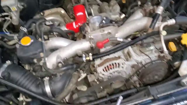 MUST DO for any Turbo SUBARU or Older JDM (JDM SG5 FORESTER) - Silicone Hose kit ! LINK in DESCRI смотреть онлайн