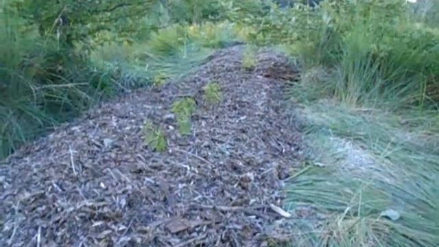 мое ноу хау контейнер сетка смотреть онлайн