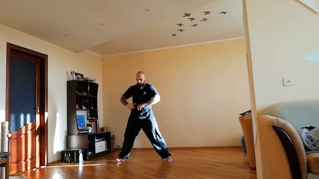 1.БАЗОВАЯ РАБОТА (ФИЗИЧЕСКОЕ ТЕЛО=ЗЕМЛЯ) - 2.Хо гун (оживление) - 3.Жоу (эластичность) смотреть онлайн