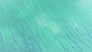 Байкал.Бухта Куркут.Дронозарисовка