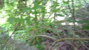 ПОИСК МОНЕТ НА УРОЧИЩЕ! КОП С МЕТАЛЛОИСКАТЕЛЕМ АКА СОРЕКС ПРО!