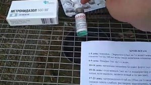 Лучшая схема пропойки для бройлеров.